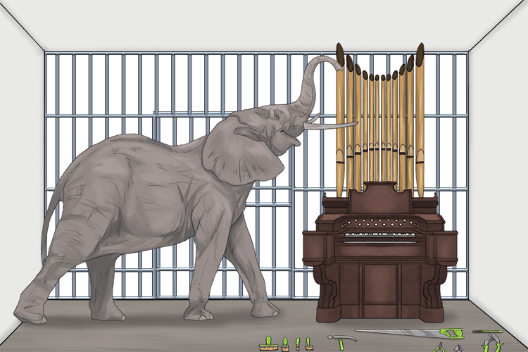 The organ was built by the elephant (organelle) in its cell from specialised parts.